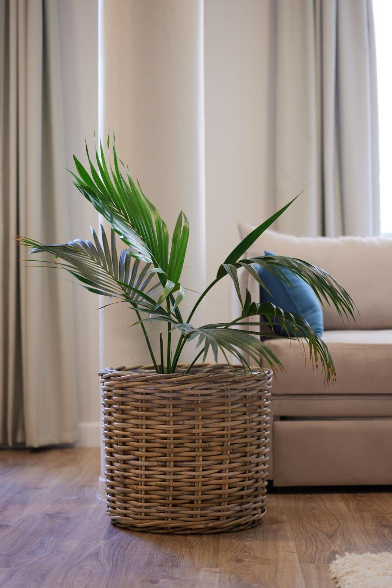 Apartment Athenian Sensations And In The Heart Of Athen